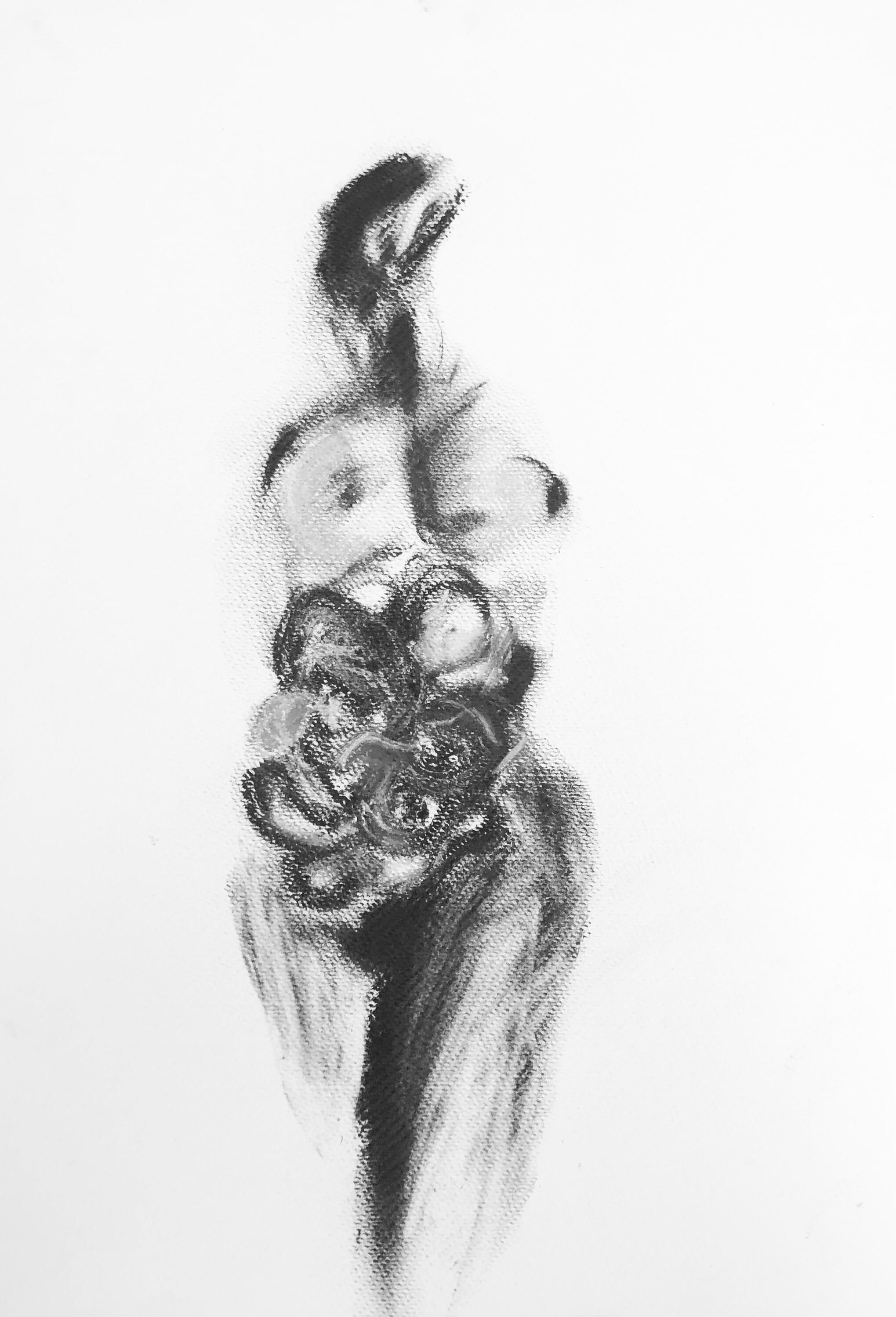 Mujer 1 Charcoal on paper 50x35 cm (19.7×13.8 in)