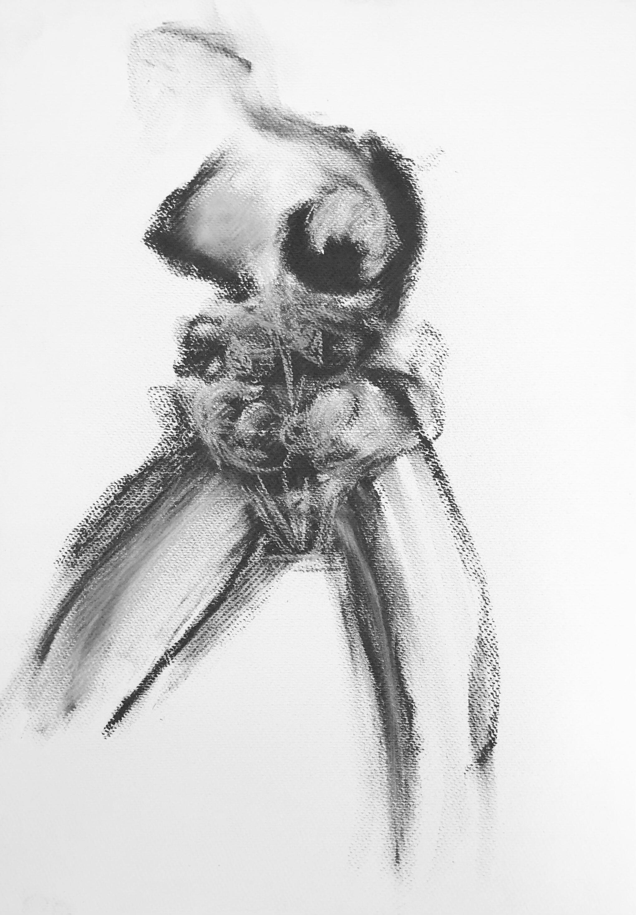 Mujer 2 Charcoal on paper 50x35 cm (19.7×13.8 in)